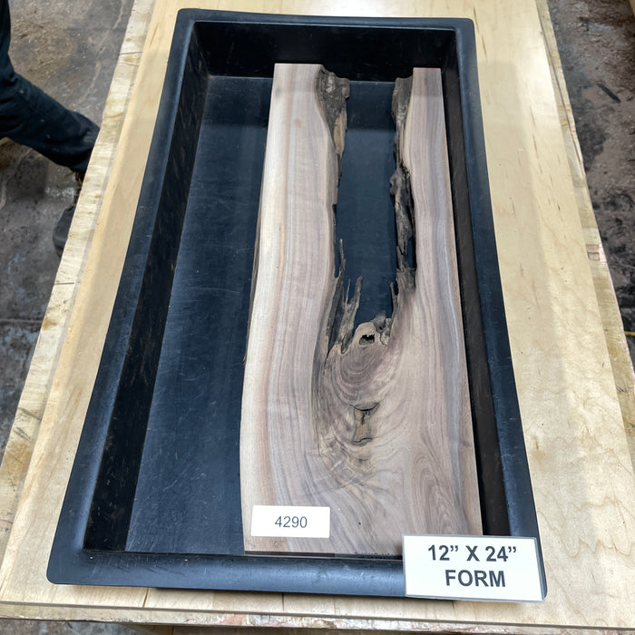 Walnut Slices Collection 2 (12" by 24")