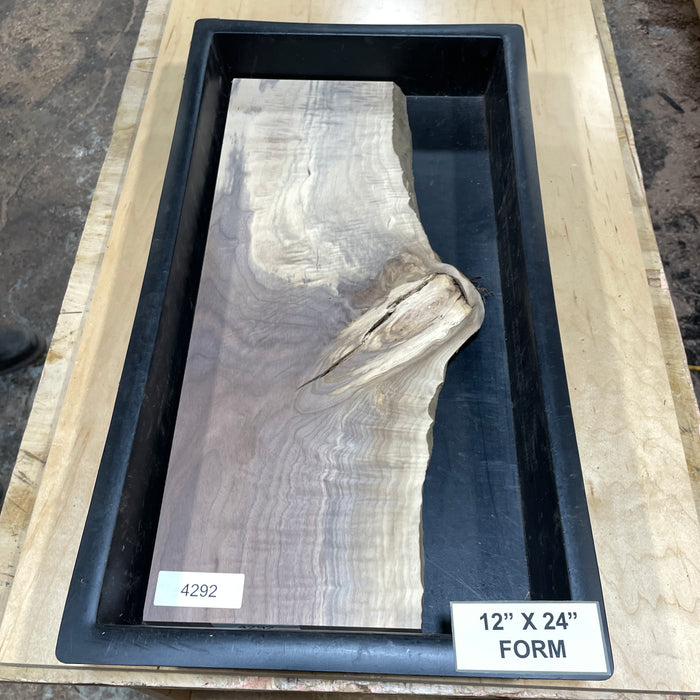 Walnut Slices Collection 2 (12" by 24")