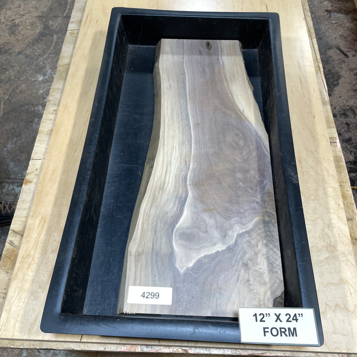 Walnut Slices Collection 2 (12" by 24")