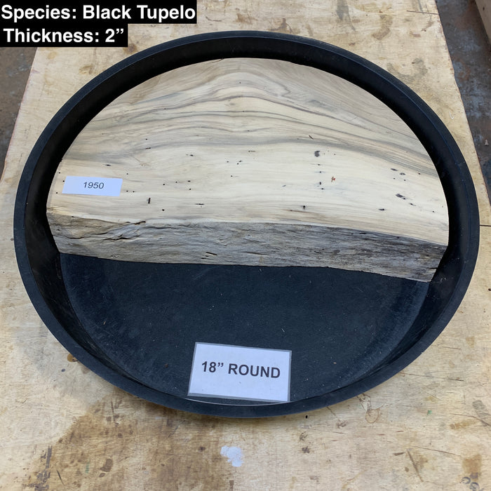 Mixed Species Collection (18" Round)