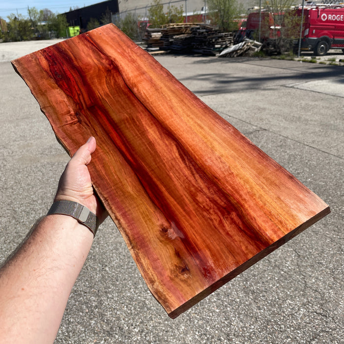 Red Heart (AKA Chakte Kok) Live Edge Boards (Limited Inventory)