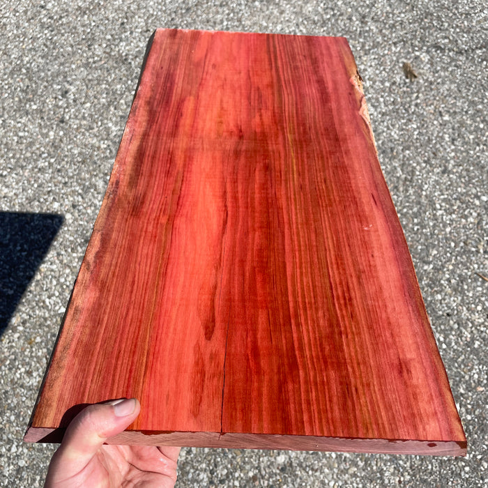Red Heart (AKA Chakte Kok) Live Edge Boards (Limited Inventory)