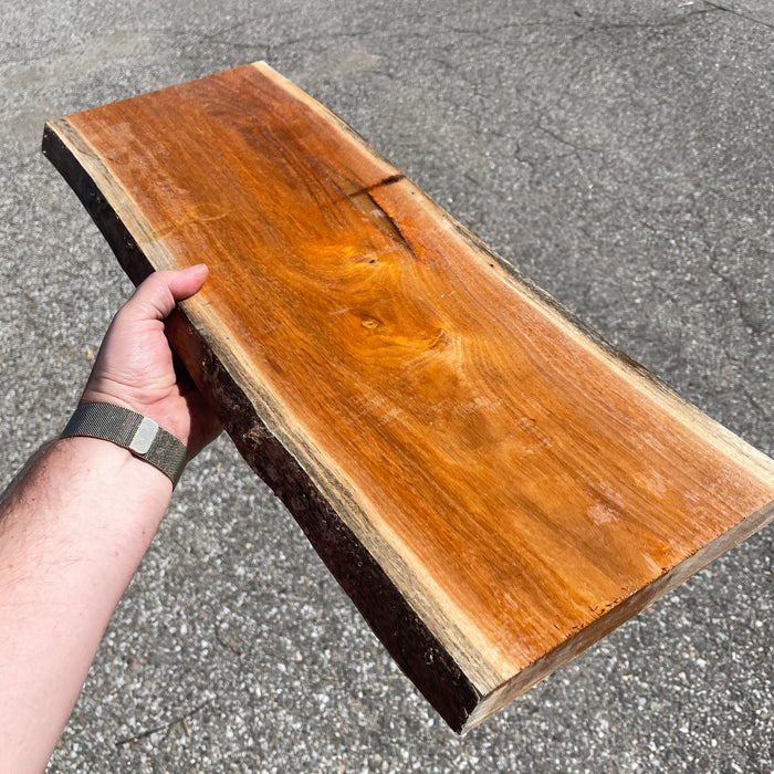 Chaltecoco Live Edge Boards (Limited Inventory)