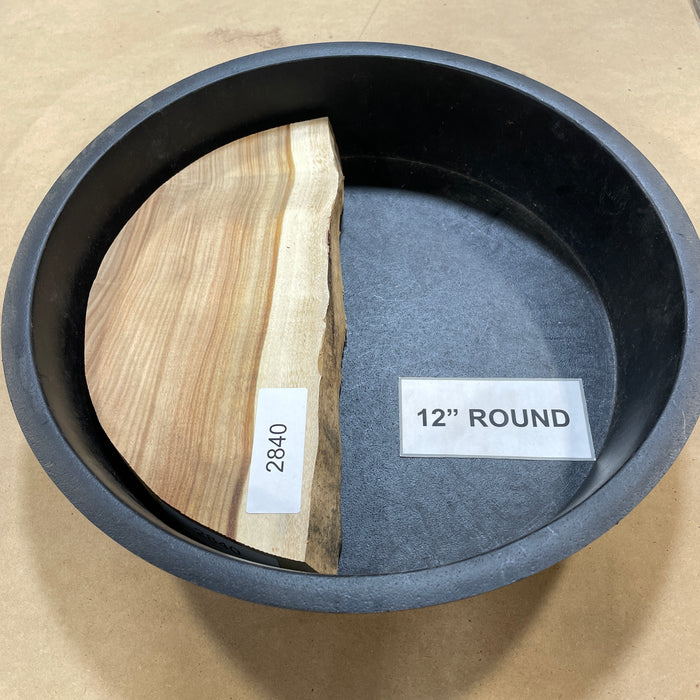 Canary Wood Slices Collection 1 (12" Round)