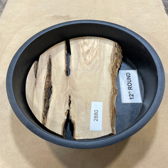 Olive Wood Slices Collection 2 (12" Round)