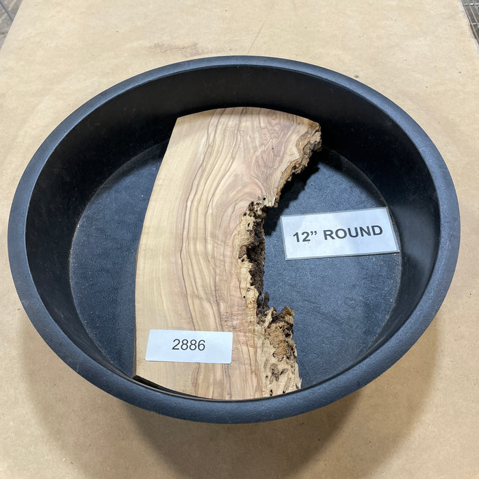 Olive Wood Slices Collection 2 (12" Round)