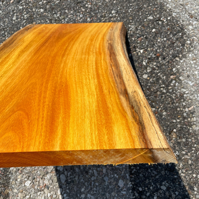 Osage Orange Charcuterie Boards (Limited Inventory)