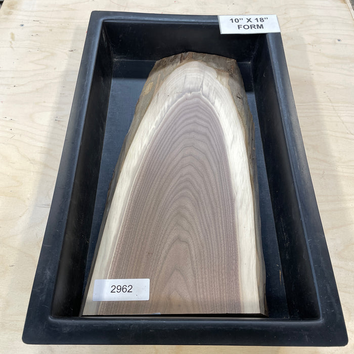 Walnut Slices Collection 4 (10" by 18")