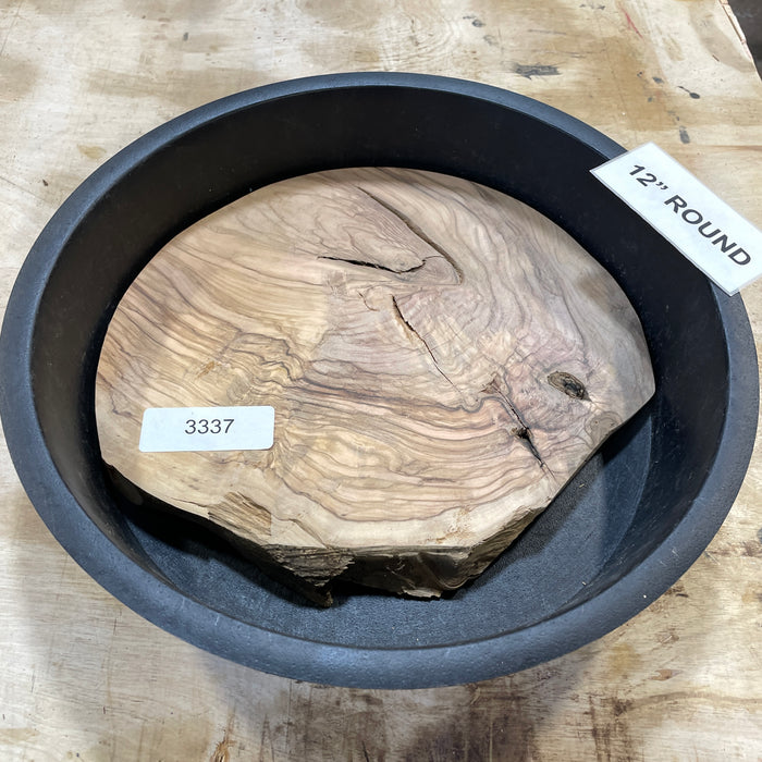 Olive Wood Slices Collection 4 (12" Round)