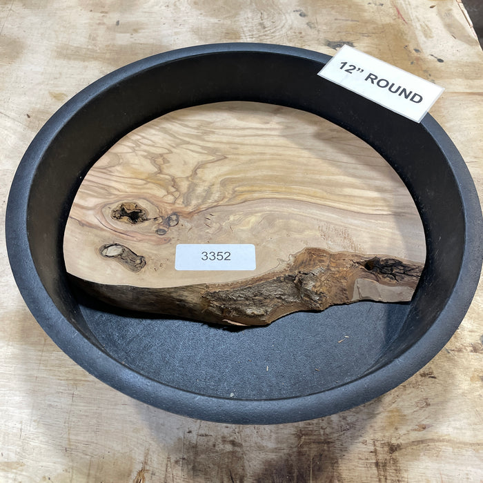 Olive Wood Slices Collection 4 (12" Round)