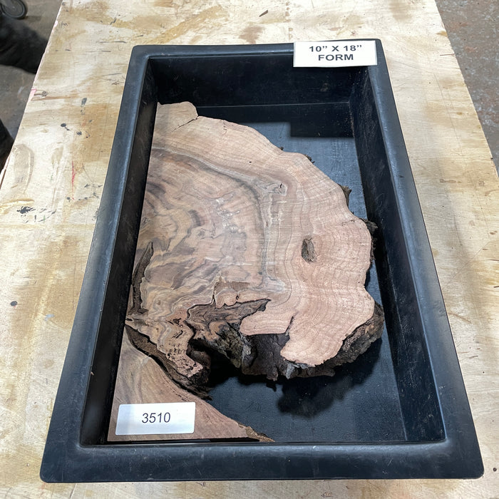 RARE Claro Walnut Burl (10" by 18")