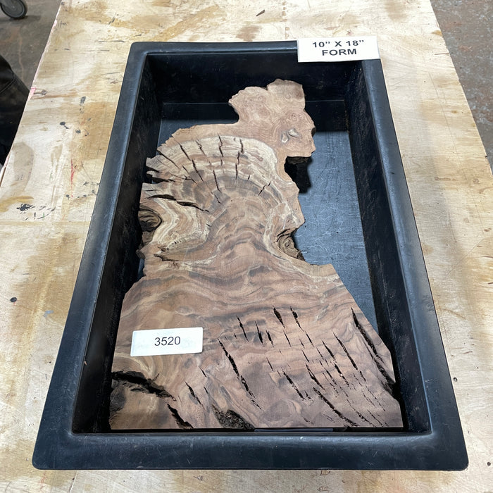 RARE Claro Walnut Burl (10" by 18")