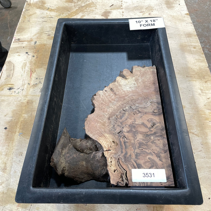 RARE Claro Walnut Burl (10" by 18")