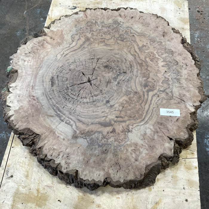 RARE Claro Walnut Burls