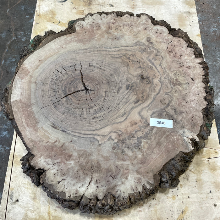 RARE Claro Walnut Burls