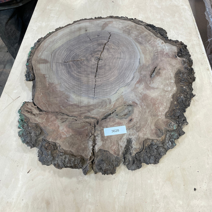 RARE Claro Walnut Burls