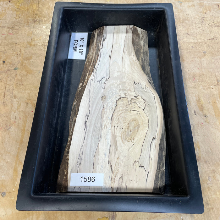 Spalted Maple Slices Collection 1 (10" by 18")