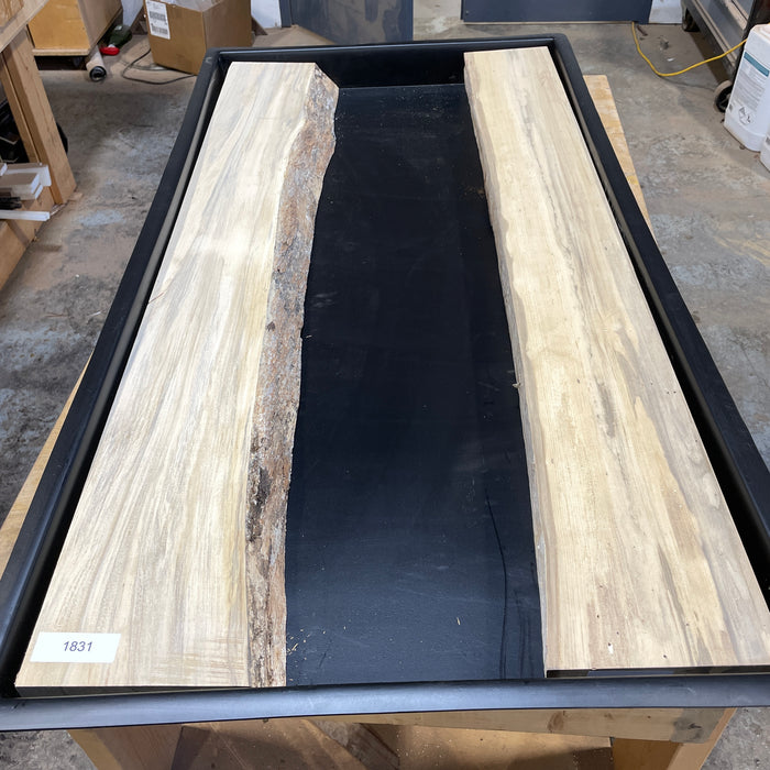 Coffee Table River Sets (Mixed Species)