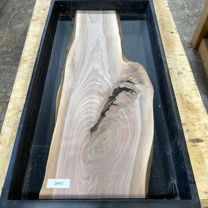 Walnut Slices Collection 1 (18" by 36")