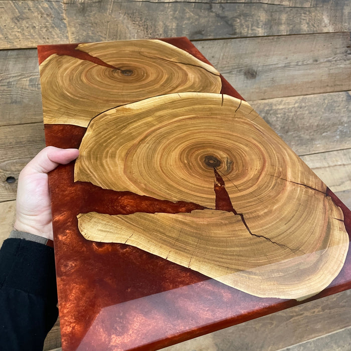 elm cookies that have signficant cracks. One looks like it has an eye in the middle and is a dinosaur head that has it's mouth slightly open . there is a large bevel on the edge and the clay red colour flows around all the cracks and voids. use this style of board to display your meat and cheese on 